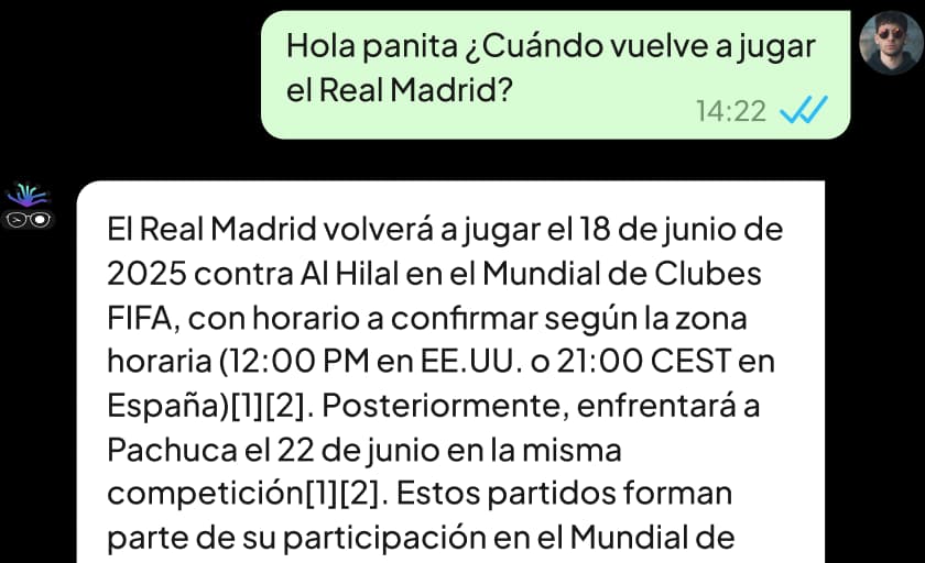 Conversando con la IA de Panita a través de WhatsApp